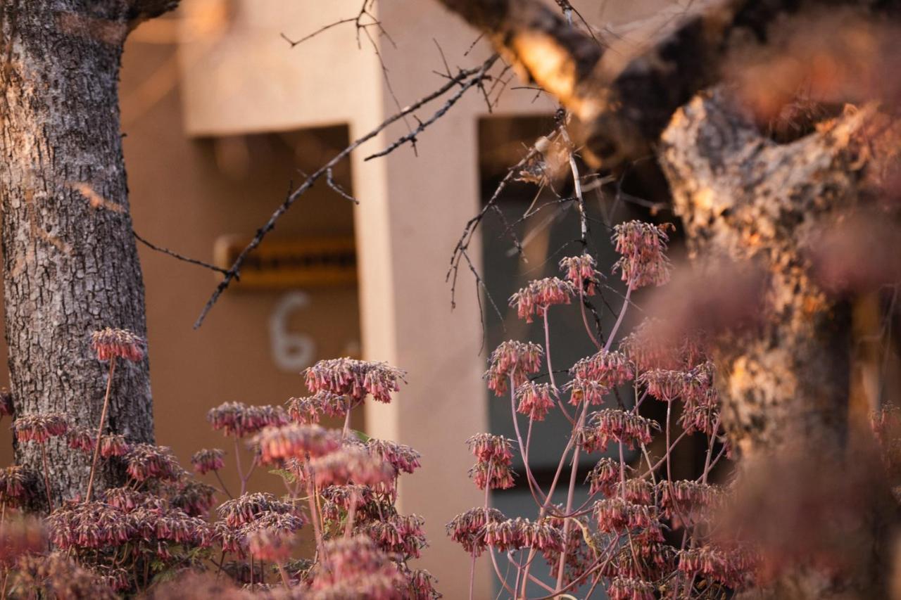 Toshari Lodge Окаукуэджо Экстерьер фото